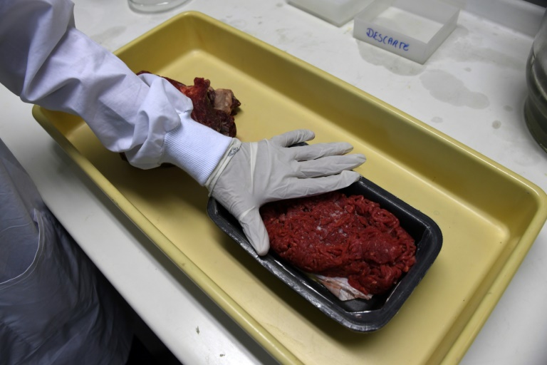 Exportação de carne está em alta durante pandemia