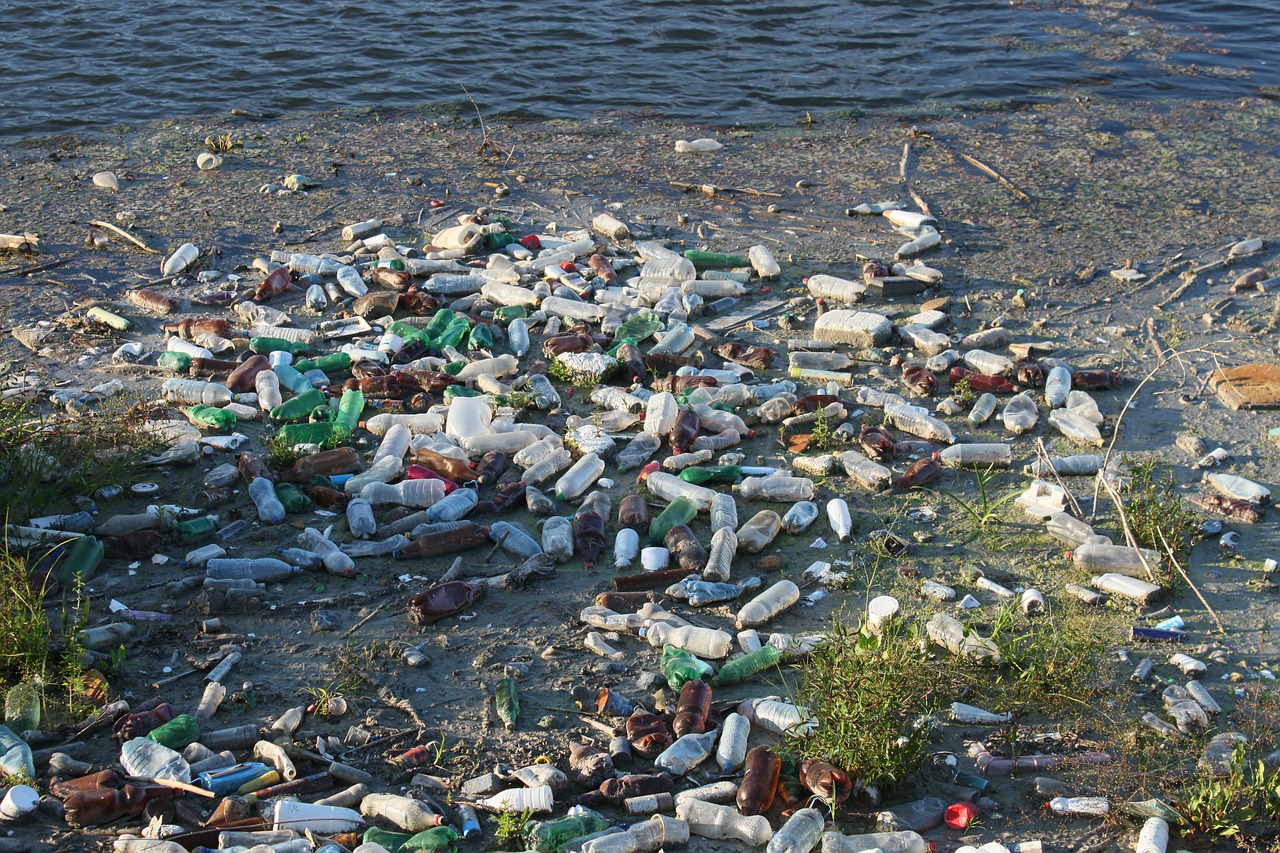 Garrafas plásticas são responsáveis por 14% do lixo encontrado nos mares, seguido de embalagens de comida, como sacos de salgadinhos e embrulhos de doces, com 12%