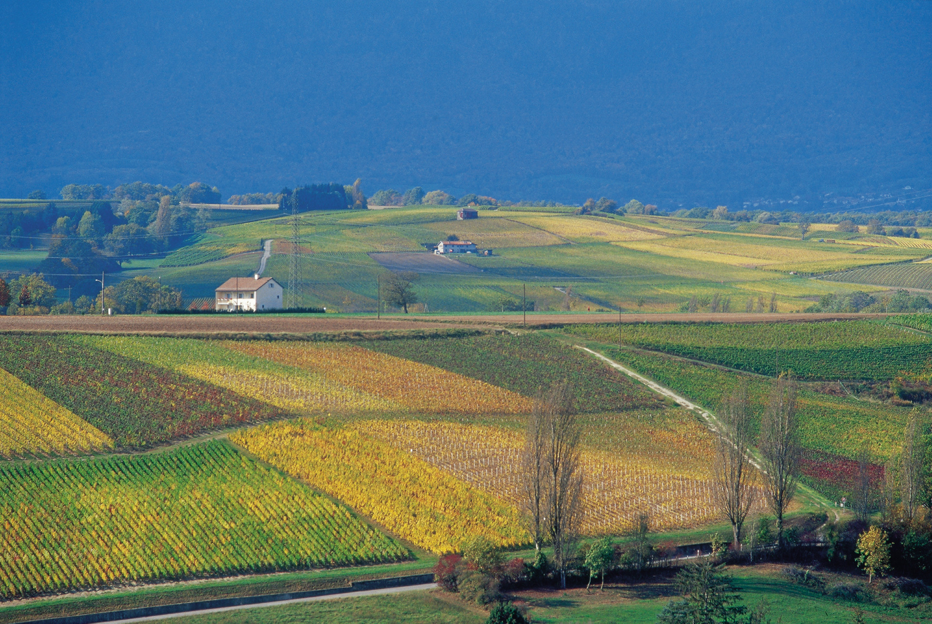 Os hóspedes do Four Seasons Hotel des Bergues podem agendar um tour exclusivo de helicóptero que começa em Genebra e passa em Lavaux, região vinícola suíça
