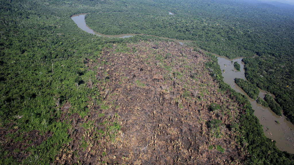 O Inpe publica, em média, um resultado científico por dia em áreas como astrofísica, engenharia espacial, incluindo dados sobre o desmatamento na Amazônia
