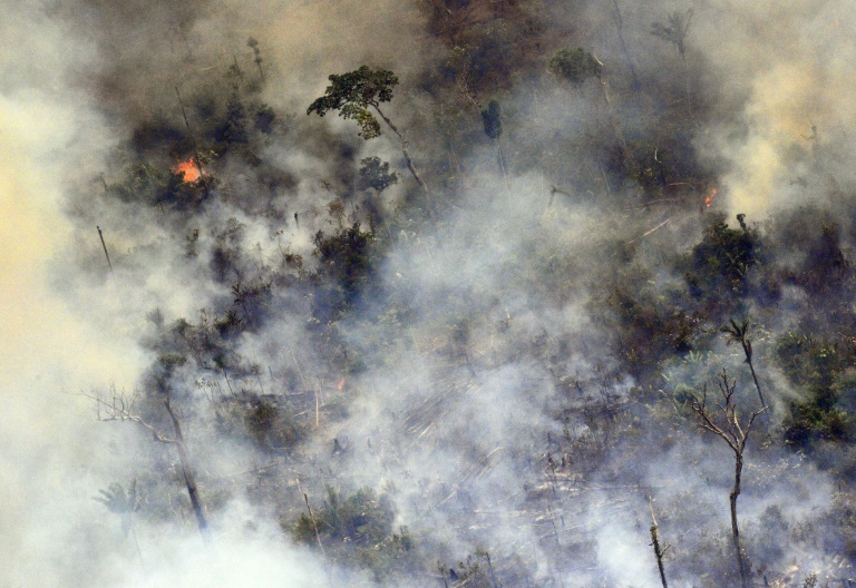 Gigante da moda H&M suspende compra de couro do Brasil por incêndios na  Amazônia - ISTOÉ DINHEIRO