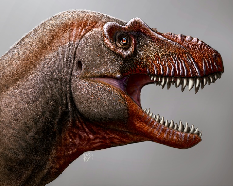 Dynamoterror”, primo de T-Rex, é novo dinossauro descoberto