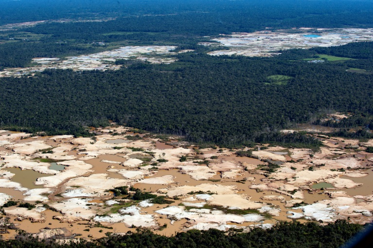 Cerca de 20% da bacia amazônica desapareceu desde 1970