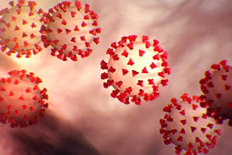 Foto do coronavírus COVID-19 feita em 27 de fevereiro pelos Centros para o Controle de Enfermidades e Prevenção (CDC) dos Estados Unidos