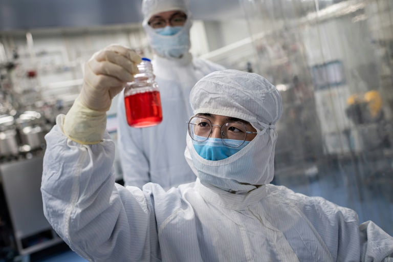 Pesquisador examina frasco contendo células de macaco durante um teste para uma vacina experimental contra o novo coronavírus, em um laboratório da Sinovac Biotech, em Pequim