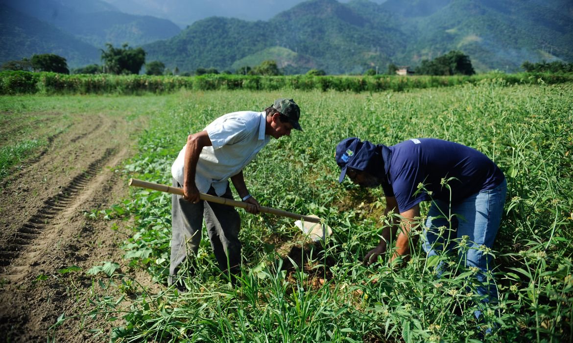 Agro: aumento de 104,5% nas vendas de produtos da agropecuária