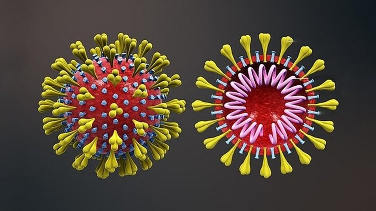 Coronavírus: número de casos confirmados da doença no País saltou de 241.080 para 254.220 entre ontem e hoje, foram 13.140 novos registros em 24 horas