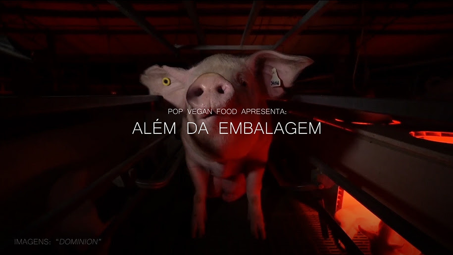 O vídeo revela galinhas amontoadas, vacas sendo furadas e porcos assustados