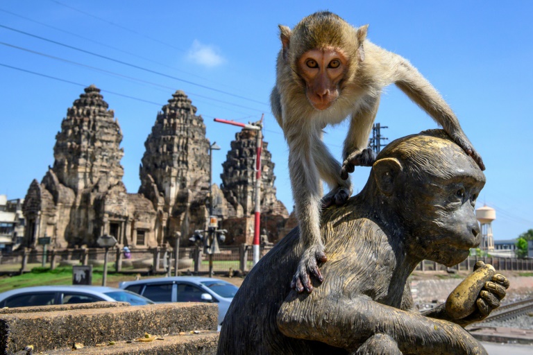 Macaco sobe em estátua no templo budista de Prang Sam Yod de Lopburi, Tailândia, em 20 de junho de 2020