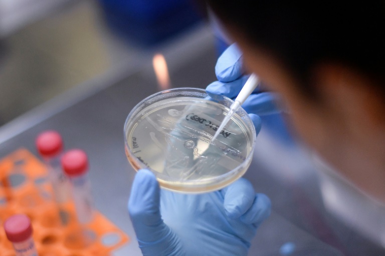 A empresa BioNtech e o laboratório americano Pfizer estão desenvolvendo há meses uma vacina contra a covid-19
