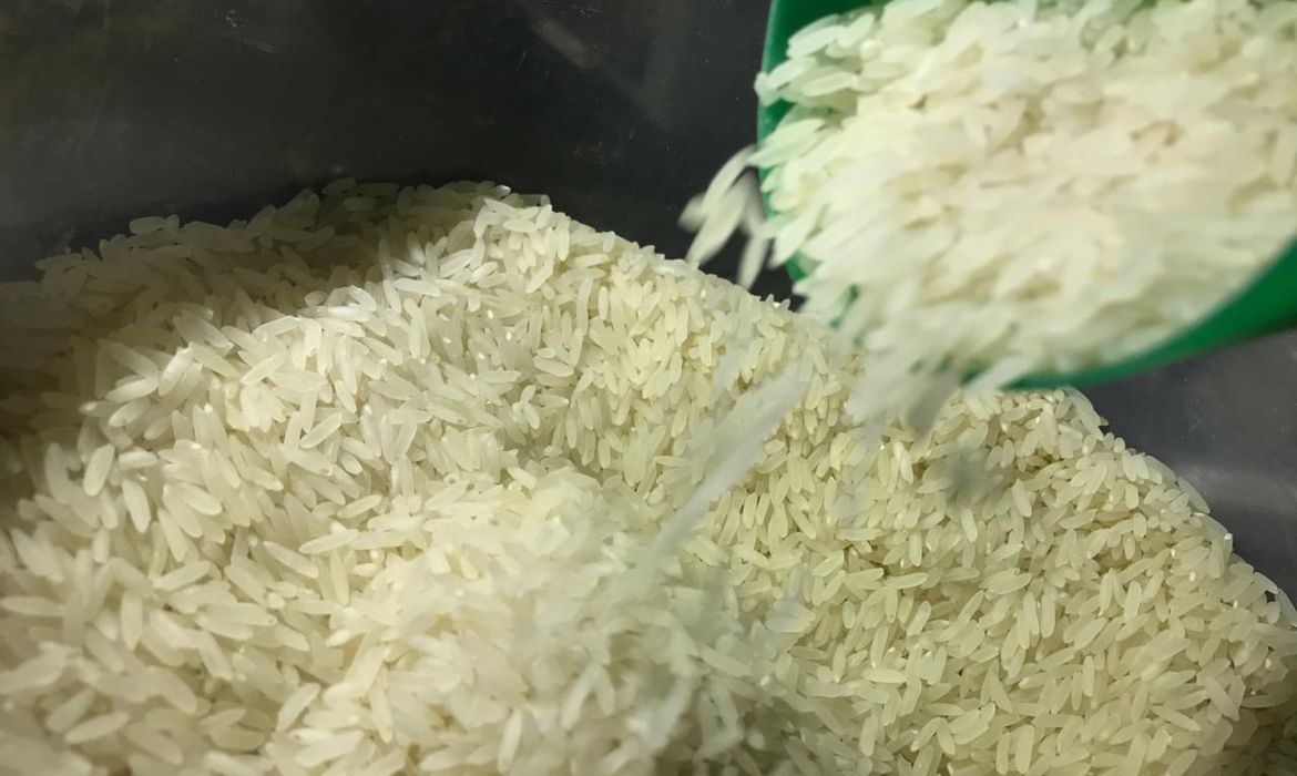 Um dos componentes na alta do preço do arroz, exportação do grão deve diminuir nos próximos dias