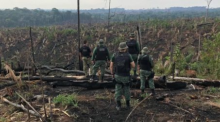 As maiores perdas em números absolutos foram registradas na Amazônia (perdeu 269,8 mil quilômetros quadrados de área) e Cerrado (152,7 mil)
