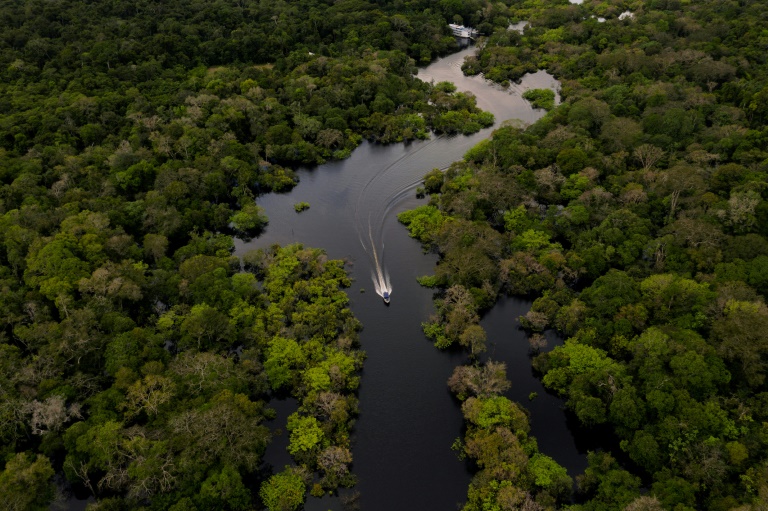 O preço da Colorado Amazônica, produzida pela Ambev, é ajustado pela comparação da média do desmatamento semanal das últimas quatro semanas com o mesmo período do ano passado