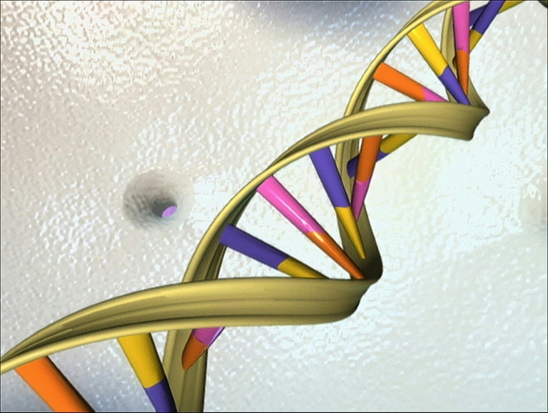 Esse DNA vem do cruzamento com o genoma humano há cerca de 60 mil anos