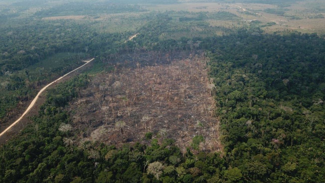 Criado em 2008, o fundo recebe doações de instituições e governos para financiar ações de prevenção e combate ao desmatamento na Amazônia Legal.
