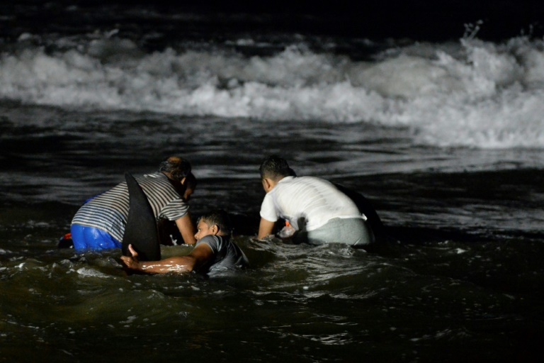 Voluntários do Sri Lanka tentam empurrar uma baleia-piloto encalhada na praia de Panadura, 25 km ao sul da capital Colombo, em 2 de novembro de 2020 -
