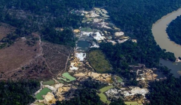 Associações indígenas e ONGs afirmam que há cerca de 20 mil garimpeiros ilegais nas terras Yanomami, onde vivem cerca de 27 mil indígenas