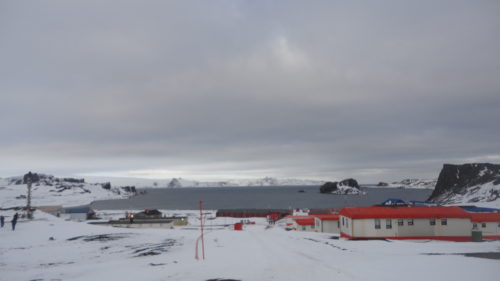 A Antártida não pode mais reivindicar ser o único continente livre do coronavírus depois que 36 chilenos testaram positivo para COVID-19.