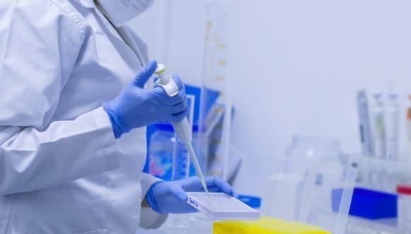 Ela auxilia a moldar a membrana externa gordurosa que protege o material genético do novo coronavírus enquanto ele se replica no corpo