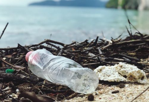 É praticamente impossível passar um dia sem consumir plástico,porém o consumo excessivo e a baixa reciclagem prejudicam o meio ambiente.