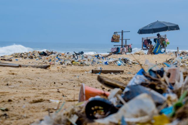 Parte do volume colossal de lixo e de plástico jogados no mar tem sido ingerida por animais marinhos, que morrem contaminados