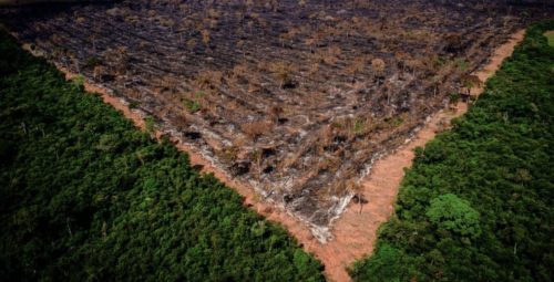 O desmatamento está relacionado com os incêndios na Amazônia, que em 2020 somaram 103.161 focos, número 15,6% maior do que os registados em 2019