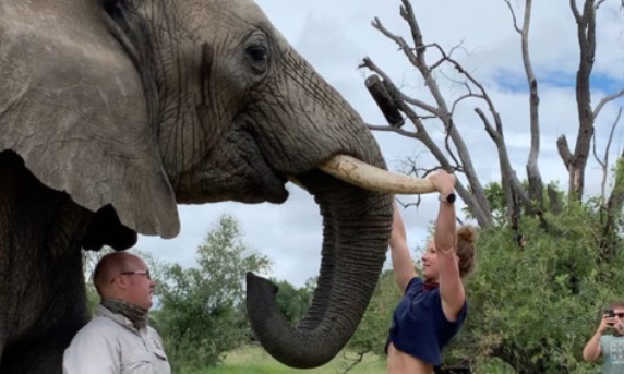 A empresária se exercitou no animal no santuário "Adventures with Elephants", na África do Sul, e compartilhou suas imagens nas redes sociais