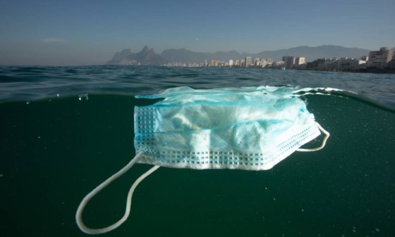 Máscaras no mar. Morte de pinguim alerta para os perigos dos resíduos da  pandemia