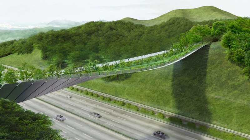 O país planeja construir no decorrer de 2021 várias “pontes verdes” sob estradas e linhas de comboio, que permitam a passagem segura das renas
