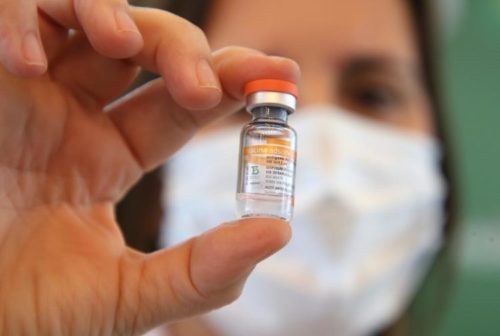 As vacinas compostas de vírus inativado, como a Coronavac, possuem todas as partes do vírus