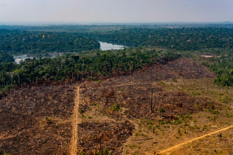 Imagem do desmatamento na bacia amazônica no município de Colniza, estado do Mato Grosso
