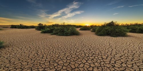 Ao analisar carvalhos para estudar o clima de 75 a.C. a 2018, os pesquisadores descobriram que estas secas, desde 2015, são as piores dos últimos 2100 anos.
