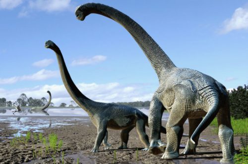 Pesquisadores do conselho científico nacional do país acreditam que o titanossauro fossilizado vagava pelo que hoje é a Patagônia há 140 milhões de anos