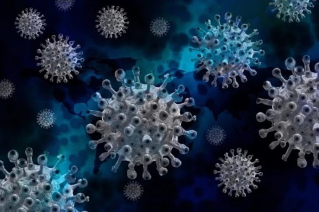 O anticorpo é candidato para prevenção e tratamento da doença