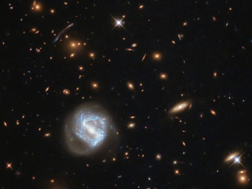 Entre os pequenos pontos, espirais e ovais que são as galáxias que pertencem ao aglomerado, existem várias figuras claras em forma de crescente