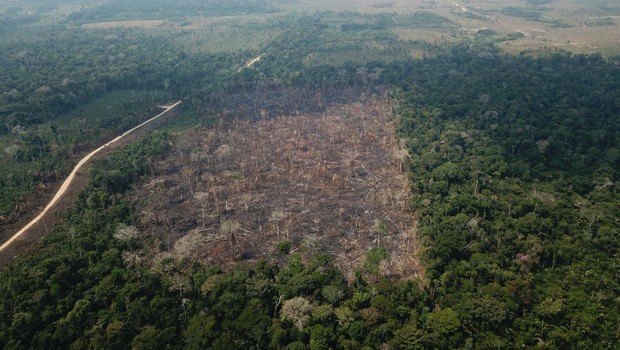 Só em 2016 e 2017 é que os números foram superiores aos registados no ano passado, num momento em que o desmatamento da Amazônia se intensificou.