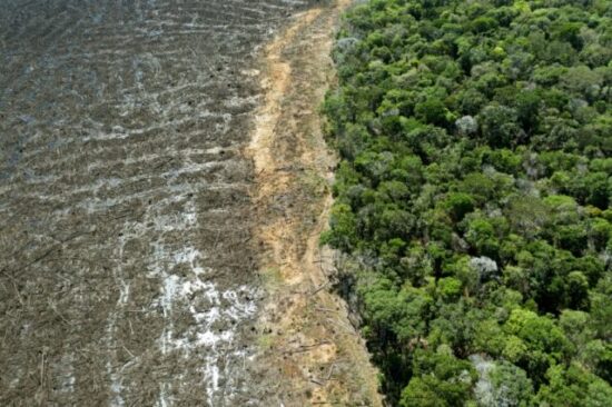 Um pedaço importante da Amazônia não consegue mais absorver carbono, apontou o estudo
