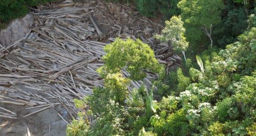 Estudo mostra que desmatamento atingiu 778 km² da Amazônia em abril, aumento de 45% em comparação com o mesmo mês do ano passado