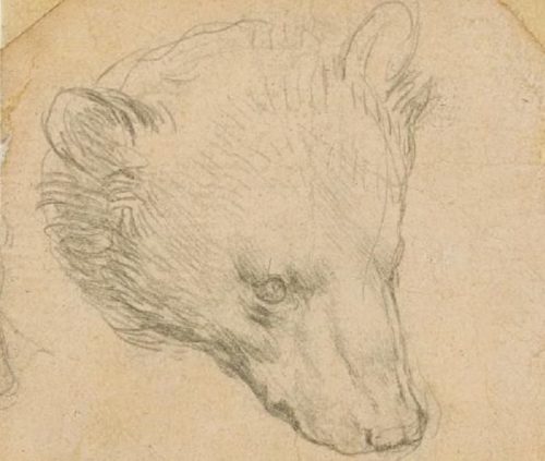 Esse é um dos menos de oito desenhos de Leonardo de propriedade privada, fora da Coleção Real Britânica e das Coleções de Devonshire em Chatsworth