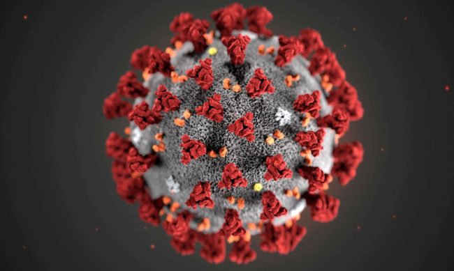 A variante Delta, inicialmente identificada na Índia, pode se tornar a versão mais dominante do coronavírus em todo o mundo