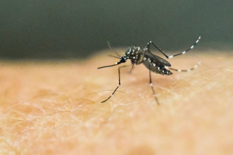 Em somente 5 meses o Brasil já registrou mais casos de dengue do que em todo o ano de 2021