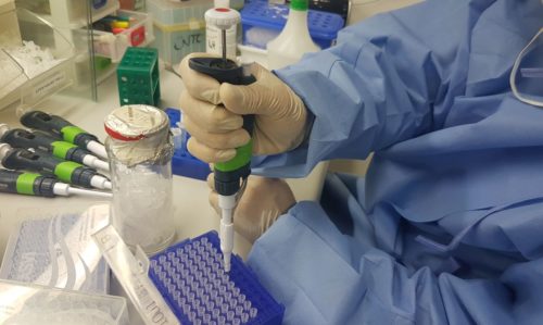 Imunizante produzido em Cuba alcançou eficácia de 62% nos primeiros testes da fase final de pesquisa, anunciou o empresa estatal BioCubaFarma