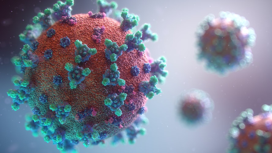 Vírus H3N2 está se espalhando pelo Brasil