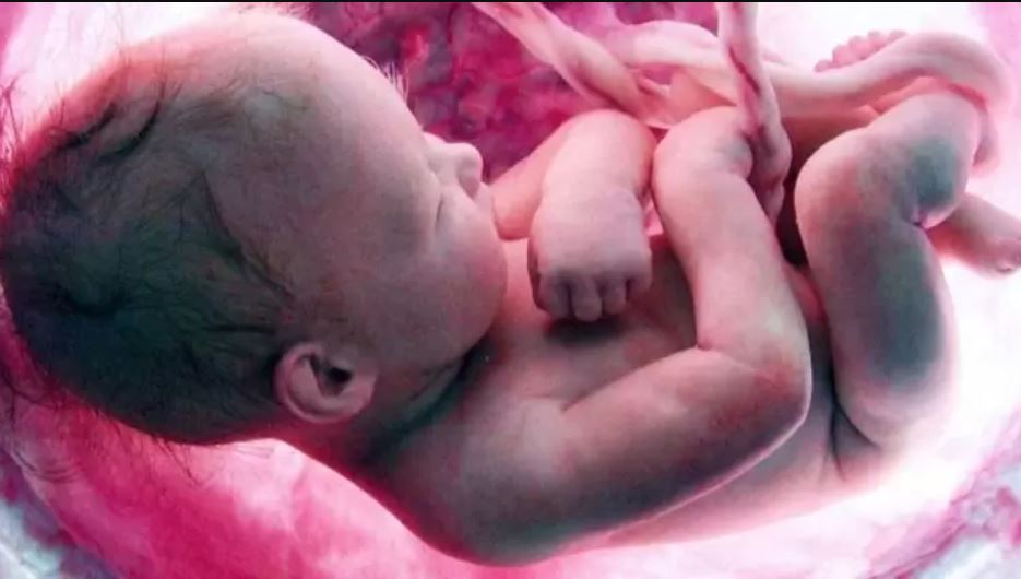 Quando o bebê nasceu, os médicos realizaram uma série de testes e localizaram um feto parcialmente desenvolvido dentro do abdômen do bebê.