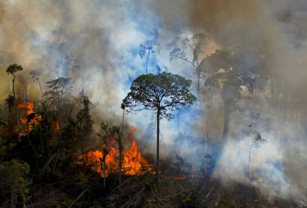 Incêndio ilegal na Floresta Amazônica