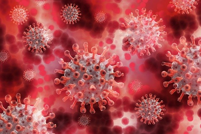 Medicamentos que tratam alergia, hipertensão e câncer podem ser promissores no tratamento da Covid, uma vez que travaram a replicação em células infetadas