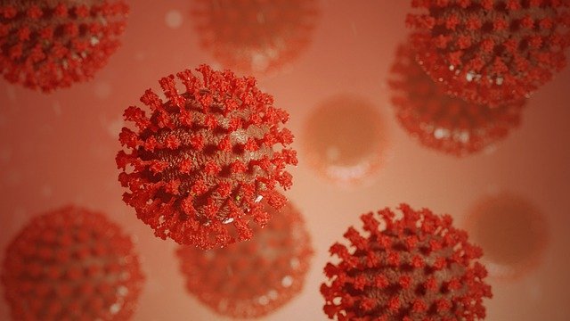 Uma vacina contra Covid administrada através de adesivo conseguiu neutralizar o vírus em camundongos, induzindo níveis mais elevados de anticorpos.