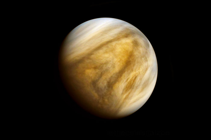 Emirados Árabes Unidos anunciaram nesta terça-feira (5) planos para explorar o planeta Vênus antes do final da próxima década e pousar em um asteróide