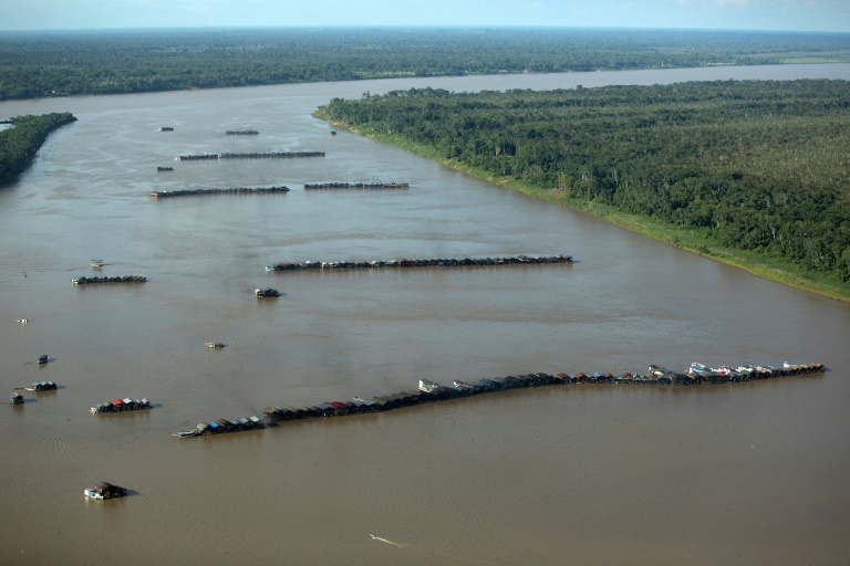 Imagem divulgada pelo Greenpeace mostra diversas balsas e dragas dedicadas ao garimpo ilegal de ouro no leito do rio Madeira em Autazes, no Amazonas, em 23 de novembro de 2021