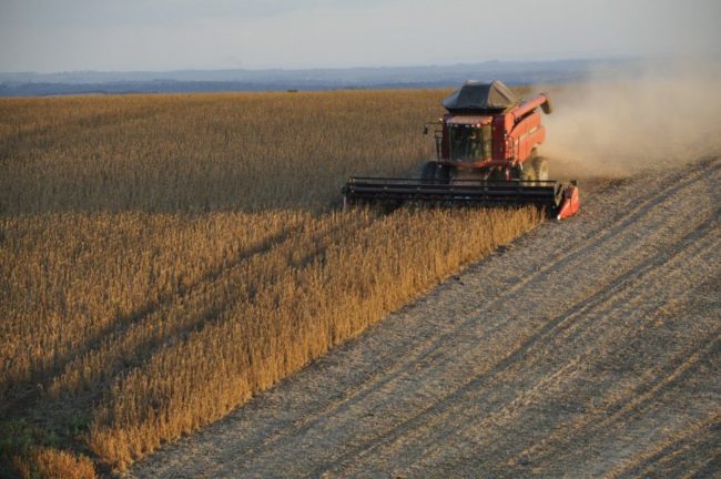 Soja em grãos foi destaque de exportação: 2,71 milhões de toneladas
